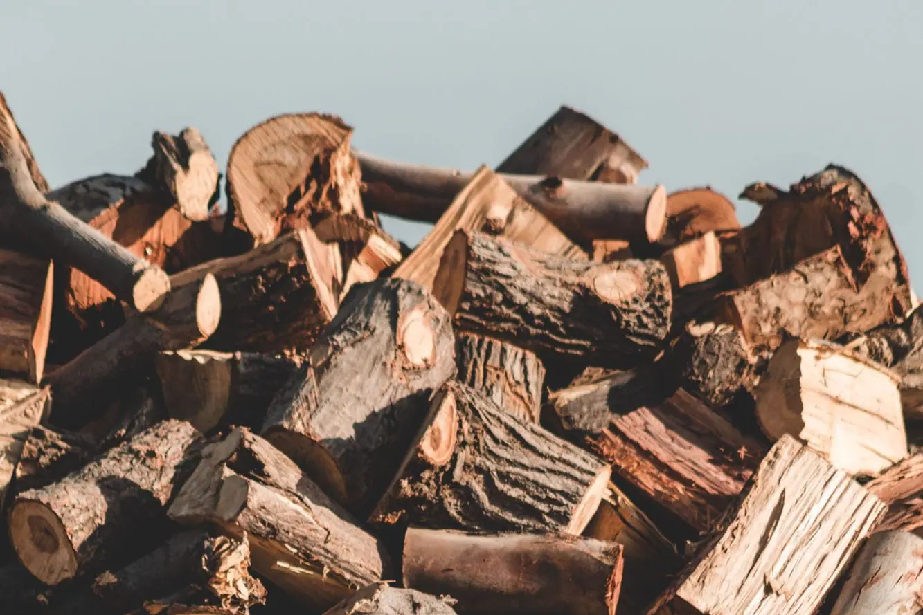 Tas de bois débité et fendu, rondins et bûches empilés en vrac, découpés sur un ciel clair