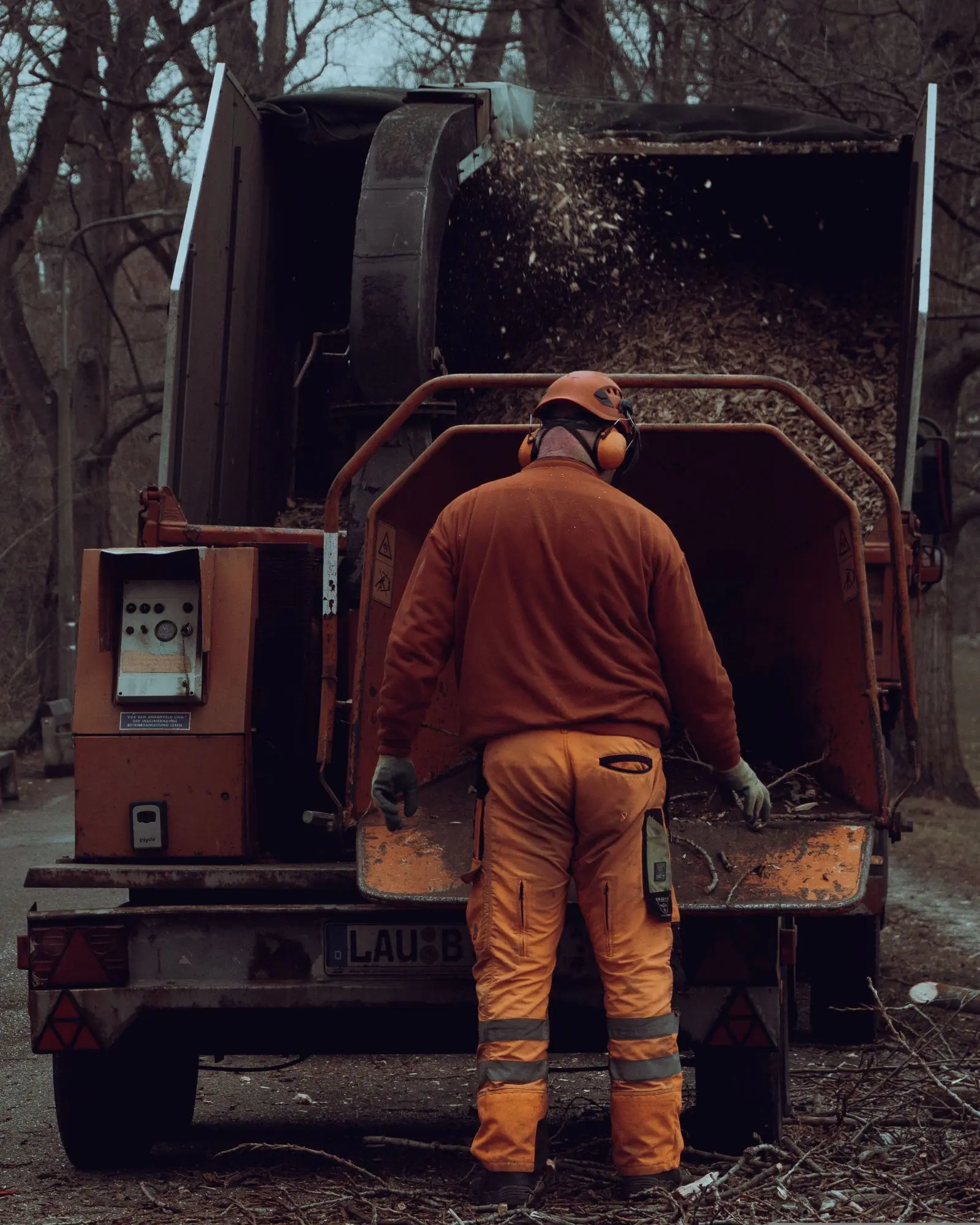 Branches introduites dans un broyeur monté sur remorque, en fin de chantier