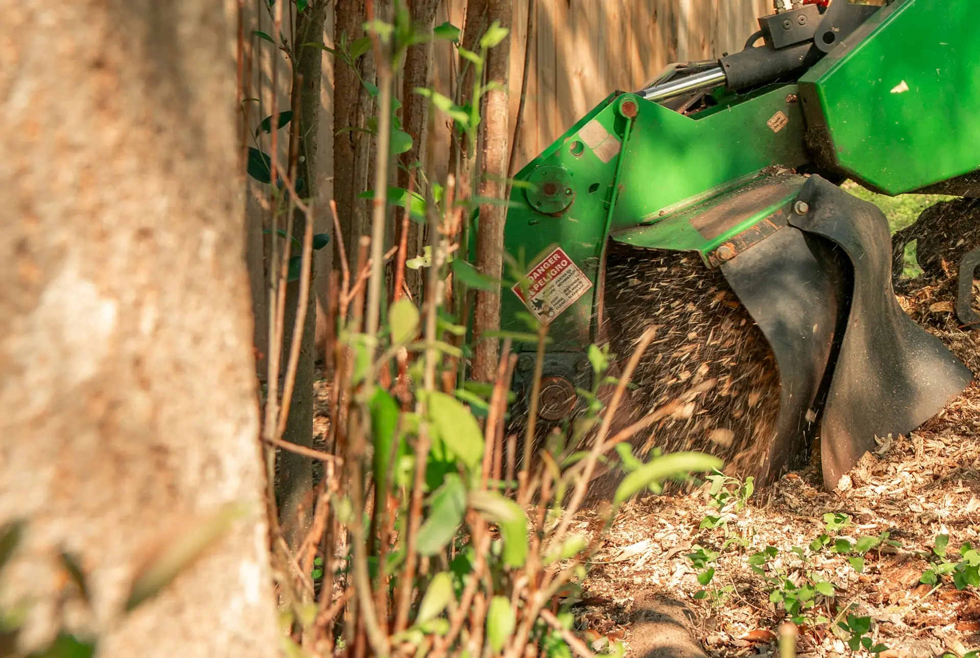 Rogneuse de souche en action, tête de rognage et copeaux de bois frais au pied d’une clôture